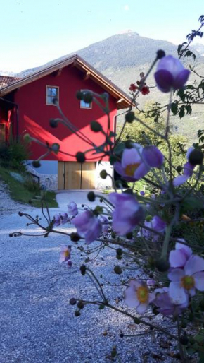 Отель Activity B&B  Спорминоре